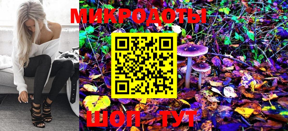 Магнитогорск  Галлюциногенные грибы Psilocybe  Вход с VPN  Псилоцибиновые грибы мухоморы 